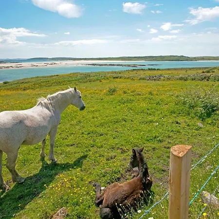 215 - Claddaghduff *