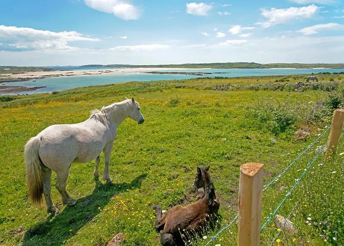 215 - Claddaghduff *