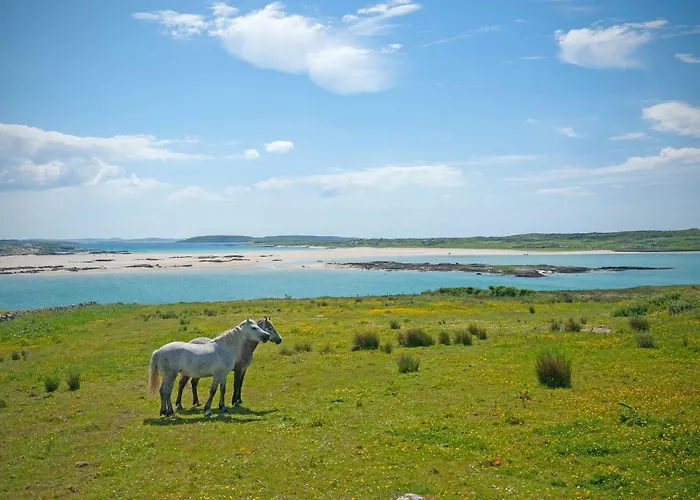 215 - Claddaghduff Holiday home *